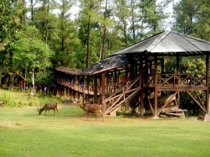 15 Tempat Wisata di Jonggol Bogor yang Wajib Dikunjungi 